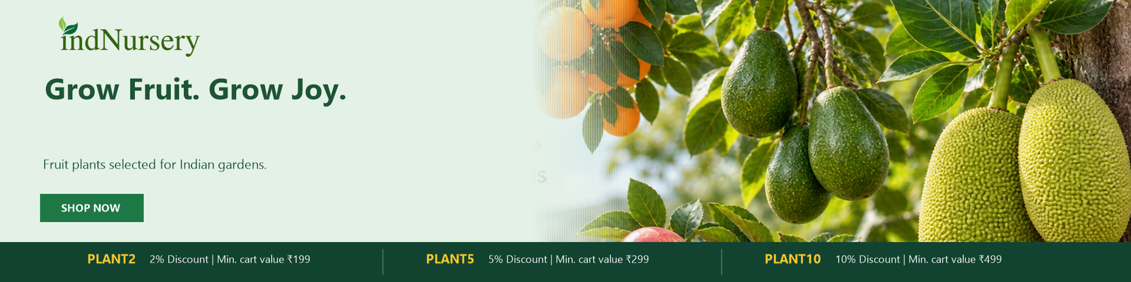 IndNursery Hero Fruit Plants