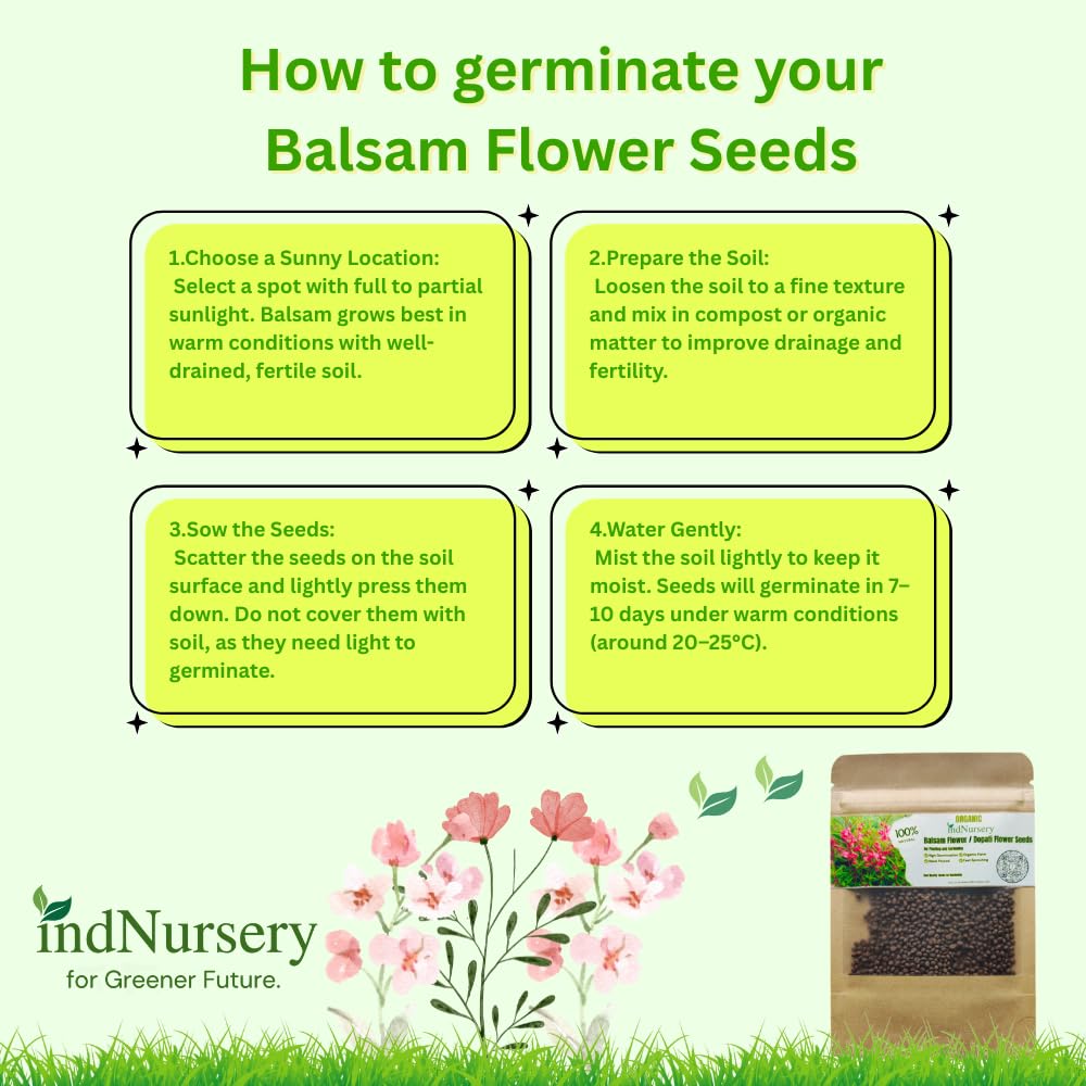 Balsam Flower Seeds