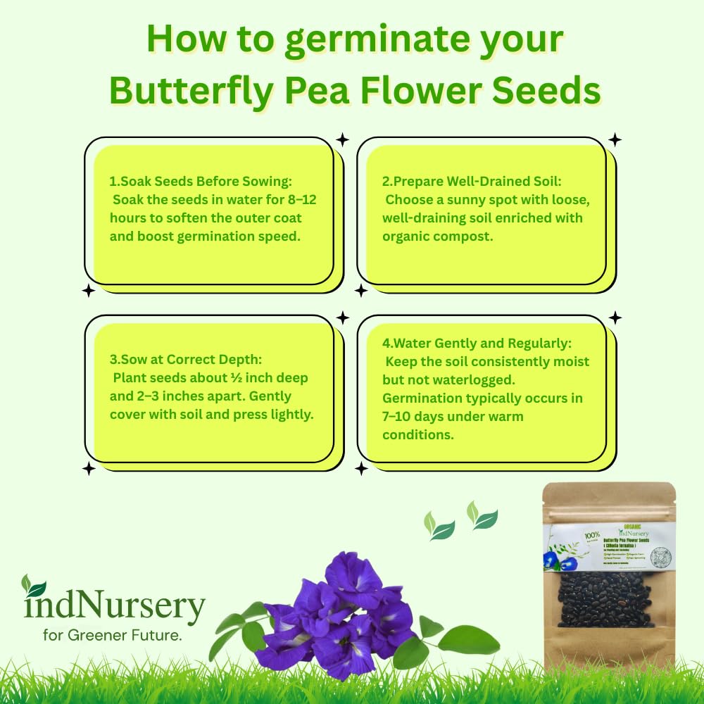 Butterfly Pea Flower Seeds for Planting (Blue, Pack of 10 g)