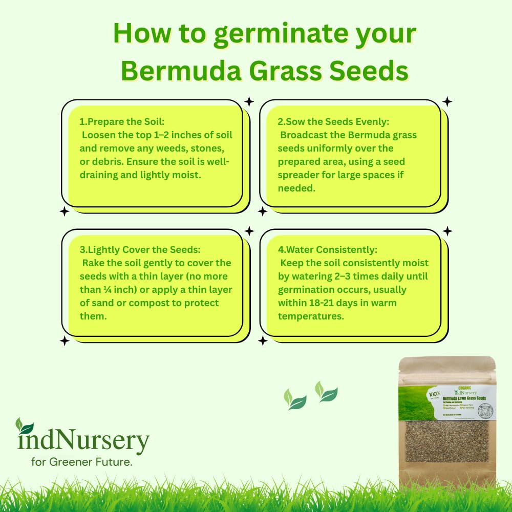 Bermuda Grass Seeds for Lawn 