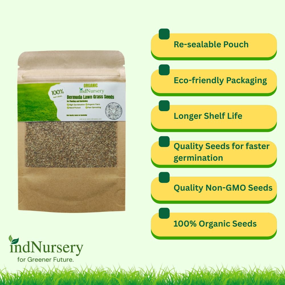 Bermuda Grass Seeds for Lawn 
