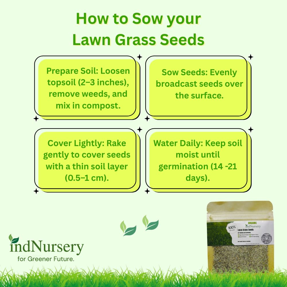 IndNursery Lawn Grass Seeds (Green, Pack of 10 gms) (4 Packet Combo)